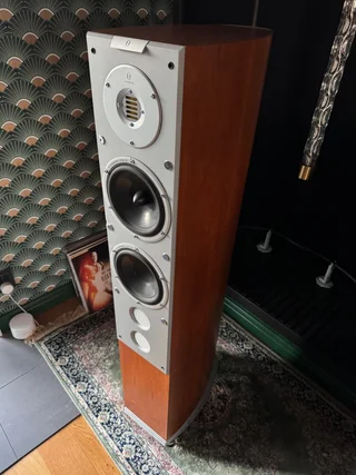 Audiovector SI6 Avantgarde 