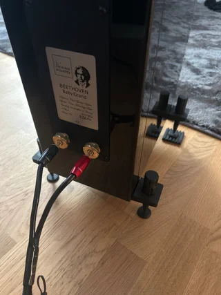 Vienna Acoustics Beethoven Baby Grand Concert 