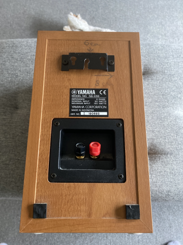 Yamaha NS-E55 
