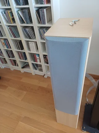 Tannoy golvhögtalare