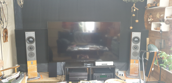 Dynaudio C5