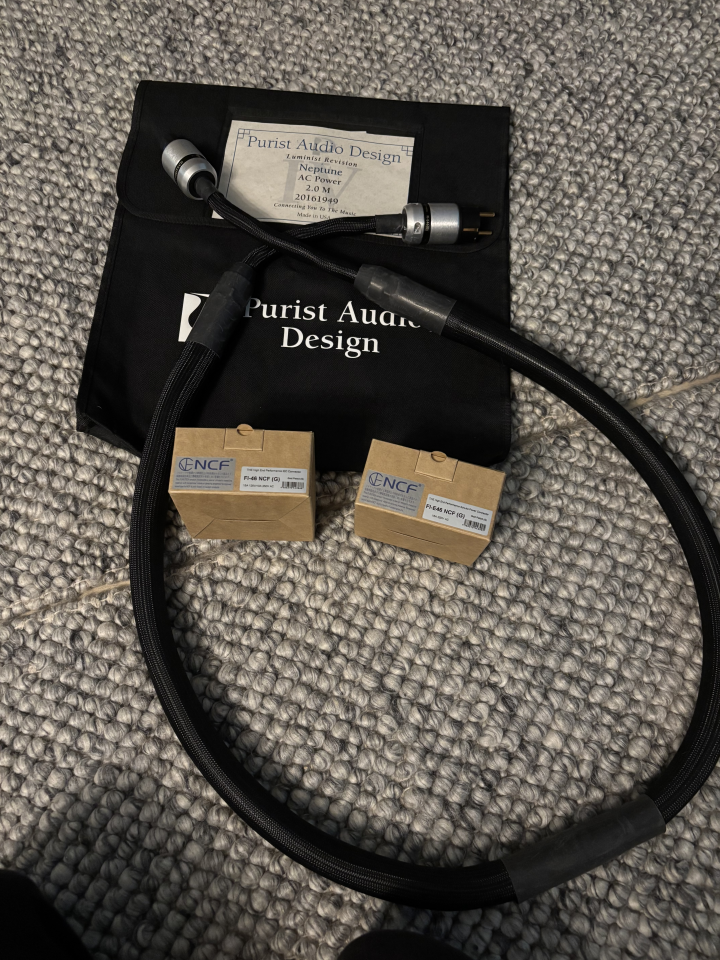 Purist Audio Design Neptun