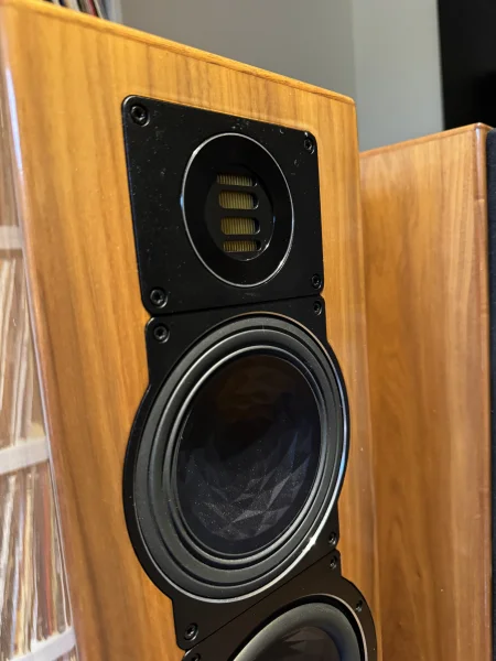 Elac FS-409, lackad valn&ouml;t - Bild 2 av 2