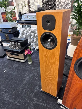 Neat Acoustics SX 5i