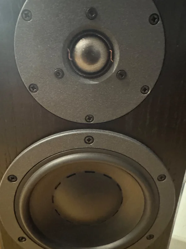 Dynaudio Focus 220 MKII &ndash; Prisbel&ouml;nt dansk hifi-magi - Bild 3 av 5