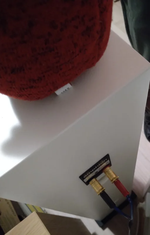 Amphion Argon 3L - Golvh&ouml;gtalare i Gott skick - Bild 4 av 4