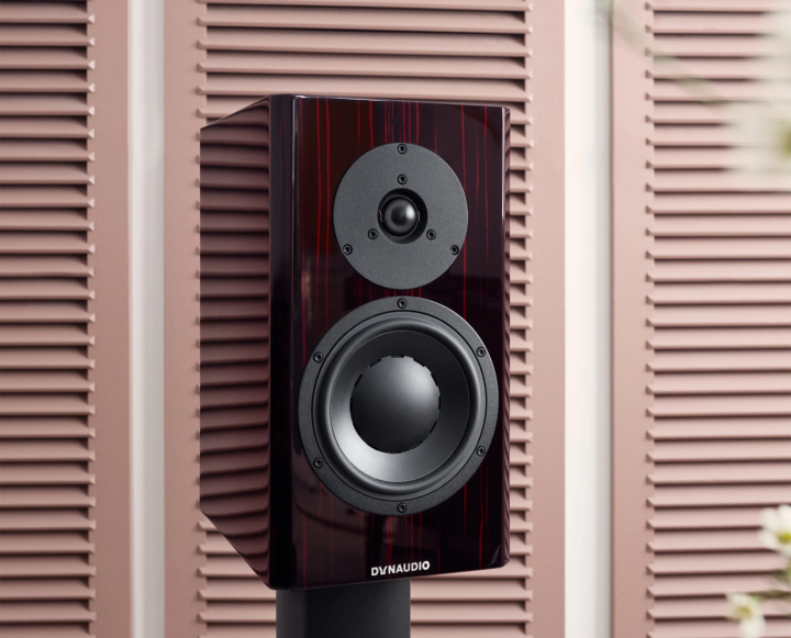 DYNAUDIO SPECIAL FORTY 