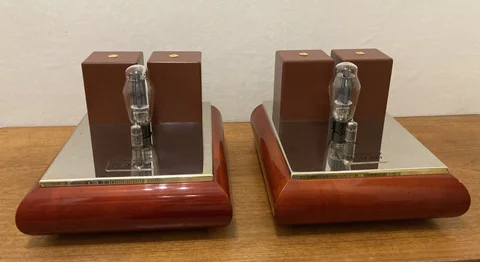 JJ Electronic JJ239 - monoslutsteg