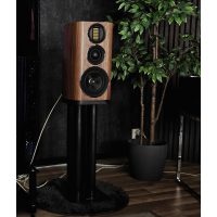Wharfedale Evo 4.2