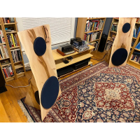 Open Baffle Live Edge Dipole Speakers with Active DSP by Live Edge Acoustics