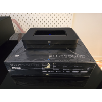 Bluesound Node N130