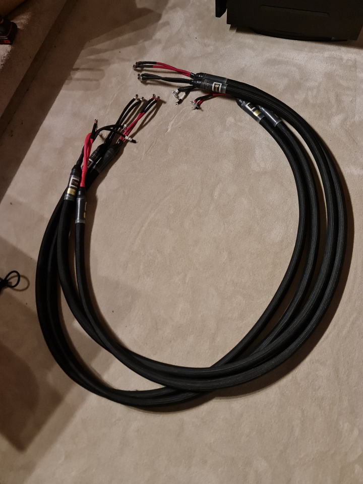 Purist audio design Dominus Rev b 2x3m bi-wire 