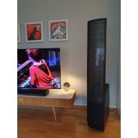 Martin Logan ESL-X
