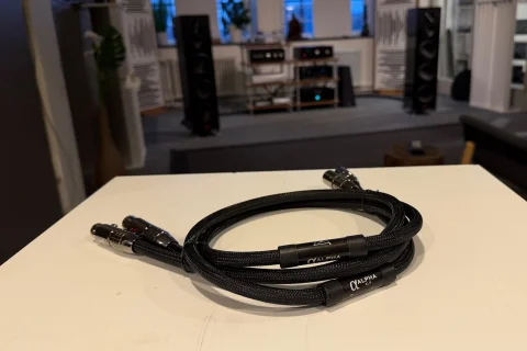 Shunyata Alpha XLR V1 1.0 m - Begagnade signalkablar