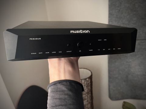 Musician Pegasus R2R 