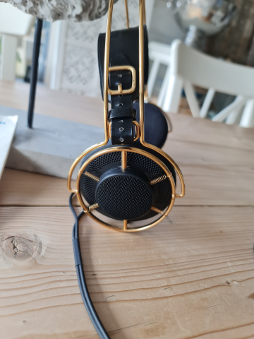 SENNHEISER HD 1000 CHARLESTON limited edition ENDAST 1000EX
