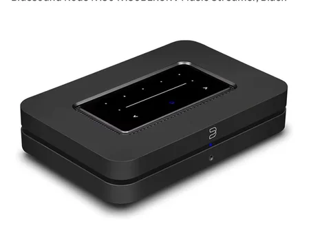 S&ouml;ker en Bluesound Node N130