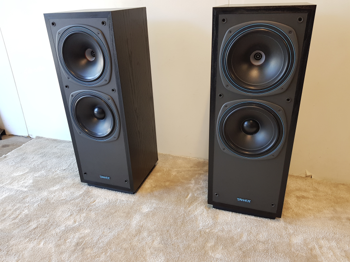 TANNOY DC 2000 Högtalare