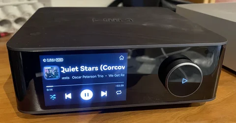Modifierade golvh&ouml;gtalare Dynavoice Magic F-6 & WiiM Amp Ultra