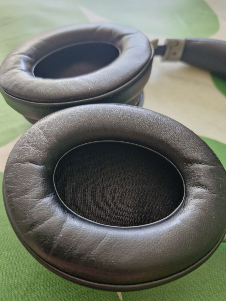 Denon AH-GC30