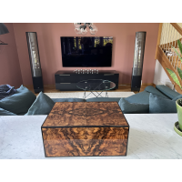 Martin Logan ESL X