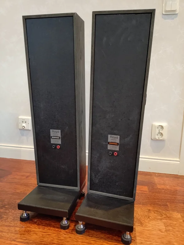 Royd minstrel - Bild 2 av 3