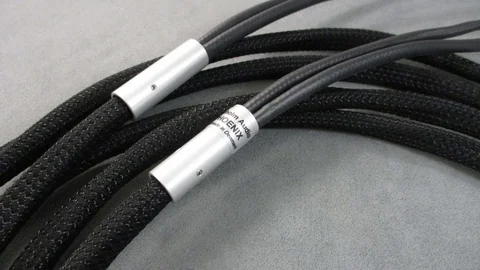 Dyrholm Audio - Phoenix 1. gen