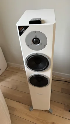 Dynaudio XEO 6