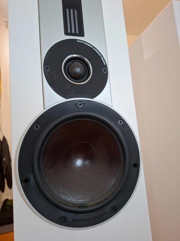 Dali Rubicon 5, Centerh&ouml;gtalare samt REL subwoofer vit pianolack - Billede 5 af 19