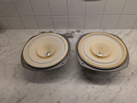 2st Coral Flat 8 Fullrange Speaker