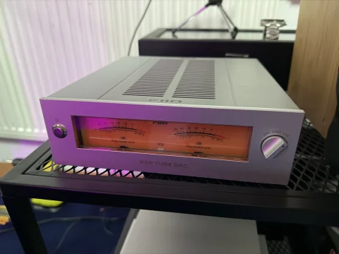 FIIO WARMER R2R DAC R2R Tube Buffer Silver FIIO WARMER R2R DAC R2R Tube Buffer Silver