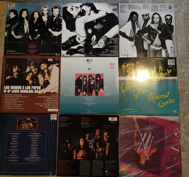 H&aring;rdrocksvinyl - Bild 8 av 10