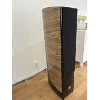 Dali Epicon 6 (valnöt)