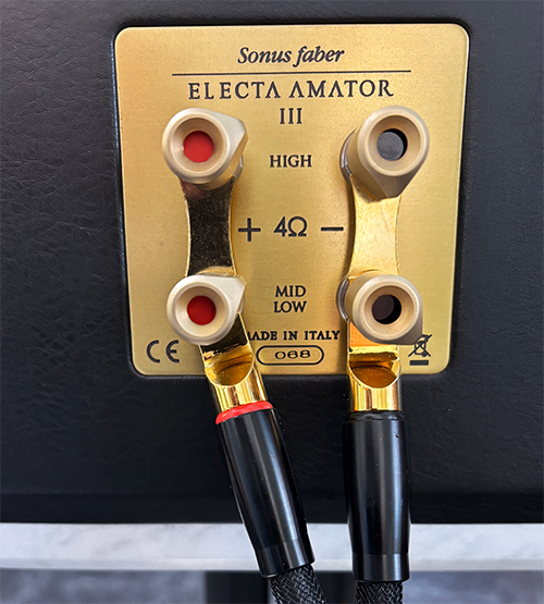 Sonus Faber Electa Amator III