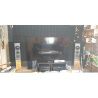 Dynaudio C5