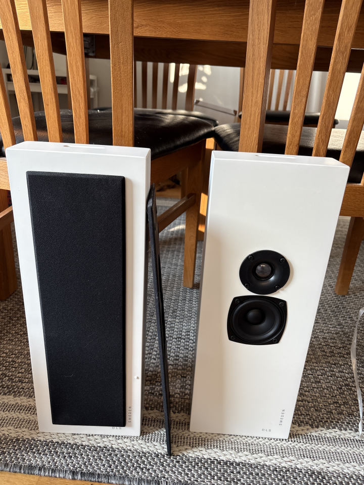 DLS XL Flat högtalare 
