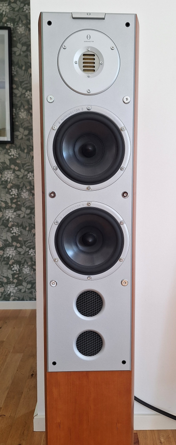 Audiovector - Si6 Avantgarde Arreté SE