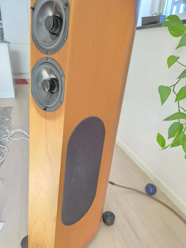 Audio Physic Scorpio 25 Plus - Bild 7 av 9