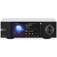 EverSolo DMP-A6