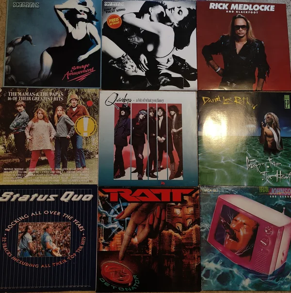 H&aring;rdrocksvinyl - Bild 7 av 10