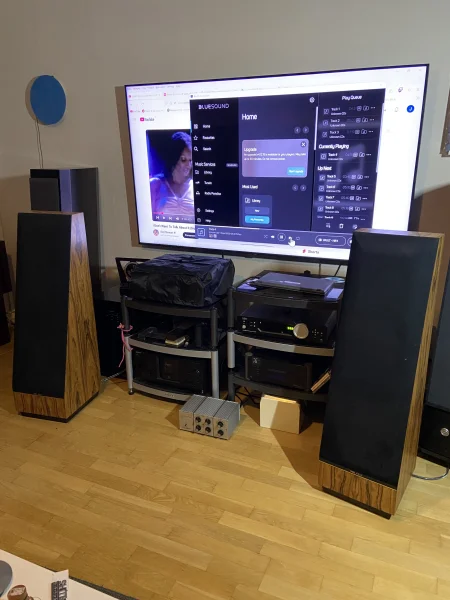 Thiel cs2.2 - Bild 3 av 3