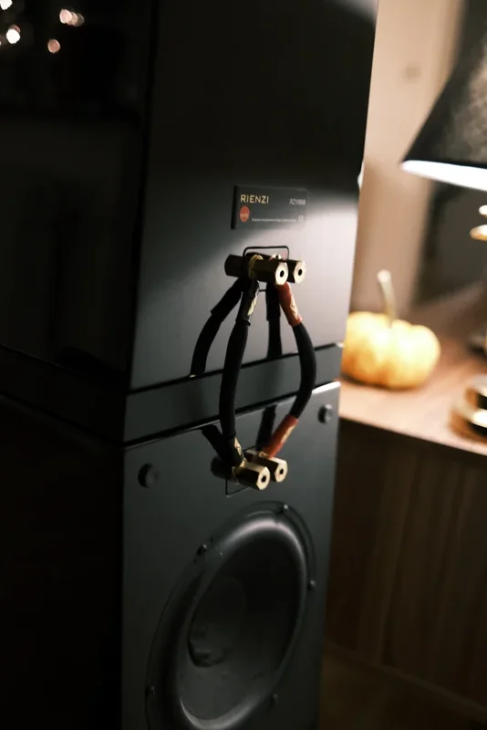 Verity Audio Rienzi - Kuva 2 / 2