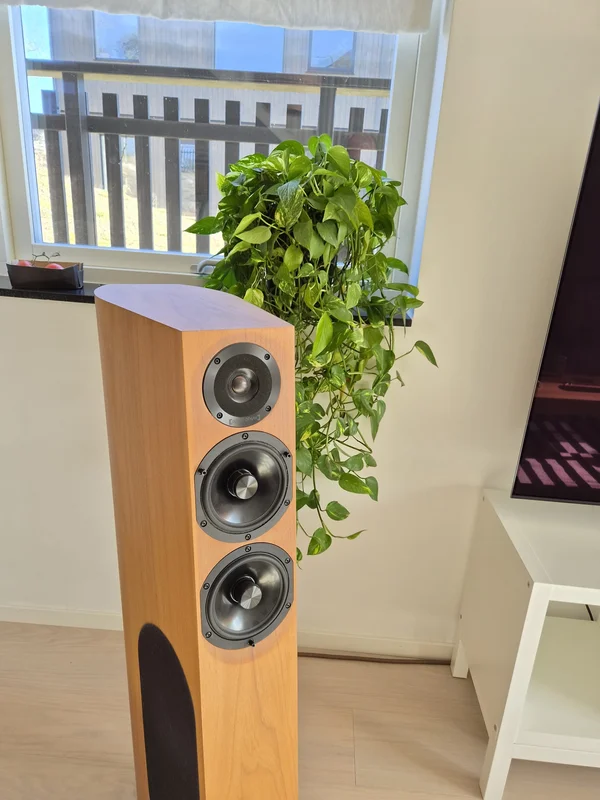 Audio Physic Scorpio 25 Plus - Bild 6 av 9